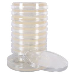 R2A Agar, for water testing