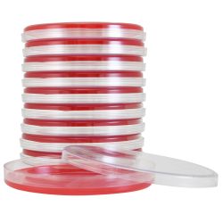 Blood Agar 5%, Large