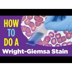 Alcoholic Giemsa Stain, 8oz