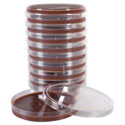 Chocolate Agar/Modified Thayer Martin (MTM) Agar, Biplate