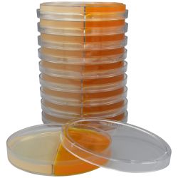 Sab-Duet™ DTM (Dermatophyte Test Medium)/Mycobiotic Agar Biplate