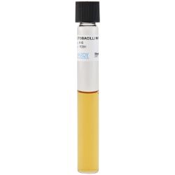 Lactobacilli MRS Broth, 9ml 