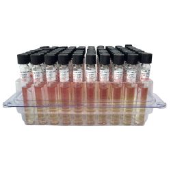 ReadyRack™  Fluid Thioglycollate (FTM), with Indicator, USP, 10ml