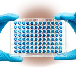 AlerTox® ELISA Beta-Lactoglobulin 