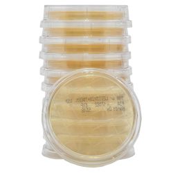 LokTight™ Tryptic Soy Agar (TSA) with Lecithin and Tween® 80, USP