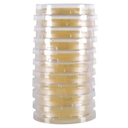 LokTight™ Sabouraud Dextrose (SabDex) Agar, 15x65mm Contact Plate 