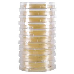 LokTight™ Tryptic Soy Agar (TSA), w/Lecithin and Tween, USP, Irradiated, Triple Bagged, 15ml