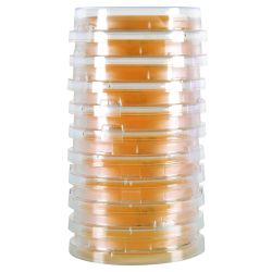 LokTight™ Sabouraud Dextrose Agar (SabDex) w/Lecithin and Tween® 80, Contact Plate, USP, Irradiated, Triple Bagged