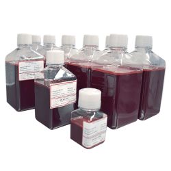 Blood, Sheep, Defibrinated, 1000ml