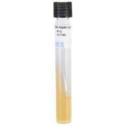 Urea Agar, Slant, 3mL 