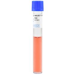 PPLO Selective Broth, 4ml 