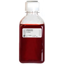 Blood, Sheep, Defibrinated, Screw Cap Bottle, 500ml 