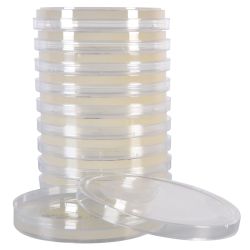 Corn Meal Agar with Tween® 80 Plate, Deep Fill