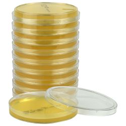 SterEM™ R2A Agar, USP, Irradiated, Triple Bagged