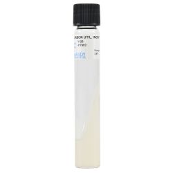 Carbon Utilization Media with Inositol, Slant, 8ml