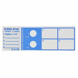 Q-Slide™ Gram, Pre-inoculated with E. coli and S. aureus