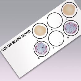 Color Slide™ II Mononucleosis Test