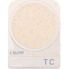 CompactDry™ Total Bacterial Plate Count (TC)