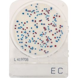 CompactDry™ E. Coli (EC) and Coliforms for colony counting