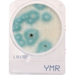 CompactDry™ Yeast/Mold Rapid (YMR) for colony counts