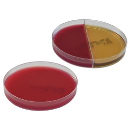 AnaeroGRO™ DuoPak B, Brucella w/H&K (Hemin and Vitamin K) plate, BBE/PEA (Bacteroides Bile Esculin/Phenylethyl Alcohol Agar) Biplate, for anaerobes