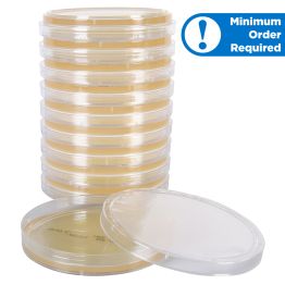 Tryptic Soy Agar (TSA) with 6% Yeast Extract