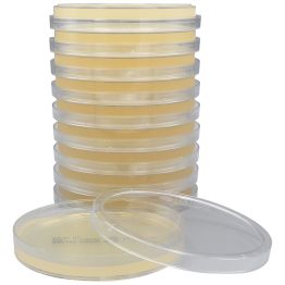 Mueller Hinton Agar, for susceptibility testing (Kirby-Bauer)