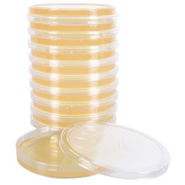 Tryptic Soy Agar (TSA), without plate label, orientation tabs and logo
