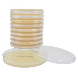 Mueller Hinton Agar (MHA), for Kirby Bauer susceptibility testing, Large 15x150mm Plate