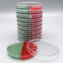 Phenylethyl Alcohol Agar (PEA) with 5% Sheep Blood/Tergitol 7 Agar, Biplate