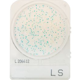 CompactDry™ Listeria spp (LS)