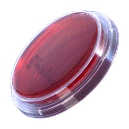 LokTight™ Cycloserin-Cefoxitin Fructose Agar (CCFA), Contact Plate w/Friction Lid, Optional Locking Feature