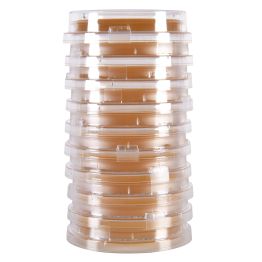 LokTight™ Malt Extract Agar (MEA) with Lecithin and Tween 80, 15x65mm, Contact Plate