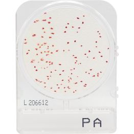 CompactDry™ Pseudomonas aeruginosa (PA)