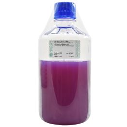 D/E (Dey-Engley) Neutralizing Broth, 750ml Fill, Polycarbonate Bottle