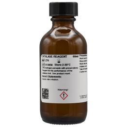 Catalase Reagent, Hydrogen Peroxide 3%, H2O2, 60ml, Screw Cap