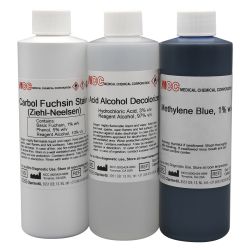 Acid Fast Stain Kit, Ziehl-Neelsen, for AFB Stain for Mycobacteria, 8oz