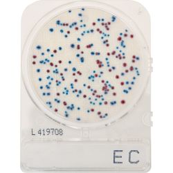 CompactDry™ E. Coli (EC) and Coliforms for colony counting