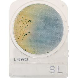 CompactDry™ Salmonella (SL), mini plates for colony counts