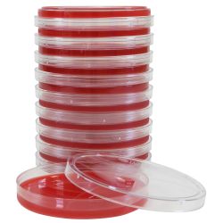 Group A Beta Strep Agar, for Group A Strep only (Streptococcus pyogenes), 15x100mm Plate