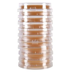 LokTight™ Malt Extract Agar (MEA) with Lecithin and Tween 80, 15x65mm, Contact Plate
