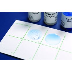 StaphTEX™ Blue Kit, a Rapid Latex Agglutination Test for Staphylococcus aureus