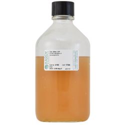 Tryptic Soy Agar (TSA), USP, 500ml Fill, Glass Bottle