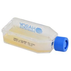 HardyFlask™ Sabouraud Dextrose Agar (SabDex) with Chloramphenicol, 12ml Fill