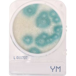 CompactDry Yeast/Mold (YM)