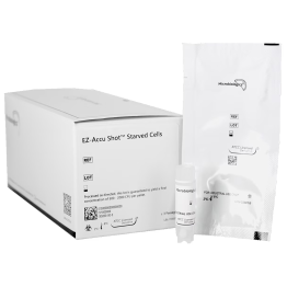 EZ-Accu Shot™ Starved Cells Pseudomonas protegens (G) derived from ATCC® 17386™