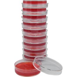 m-PA Agar