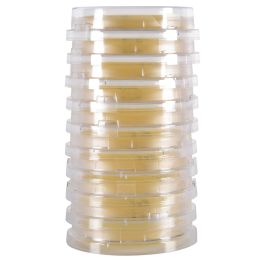 LokTight™ Sabouraud Dextrose Agar (SabDex) w/Lecithin & Tween® 80, Contact Plate
