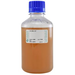 Tryptic Soy Agar (TSA), USP, 500ml, Polycarbonate Bottle