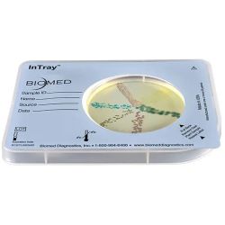 InTray® COLOREX™ Screen, Detects UTI Pathogenic Species